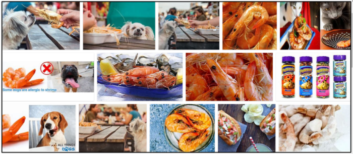 Are Shrimp Tails Safe for Dogs? Expert Guide Before Feeding