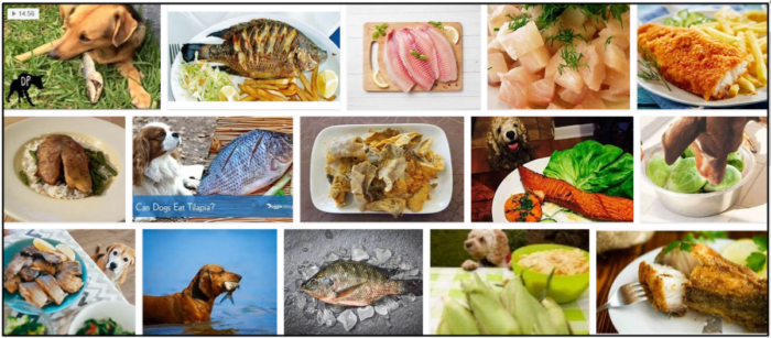 Can Dogs Safely Eat Tilapia? Expert Guidance for a Healthy Diet