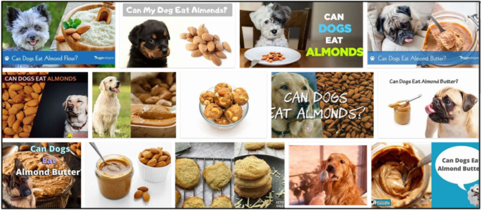 Is Almond Flour Safe for Dogs? A Guide to Preventing Malnutrition