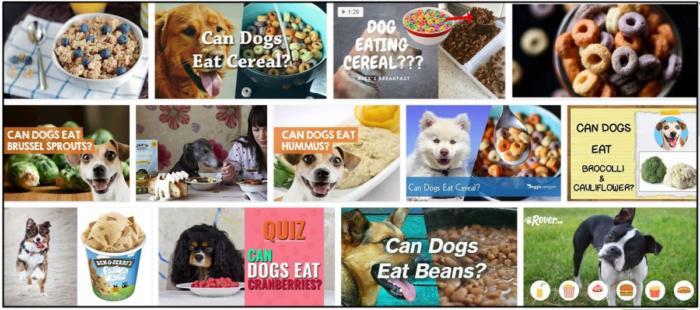 Is It Safe to Feed Dogs Cereals? Key Guidelines You Need to Know