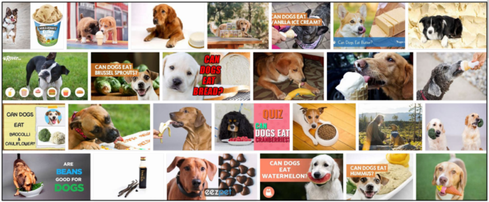 Is Vanilla Safe for Dogs? Expert Guide on Feeding Your Pet