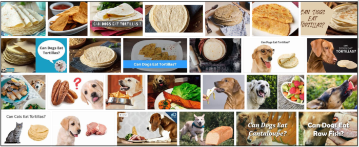 Are Tortillas Safe for Dogs? Benefits & Risks Explained