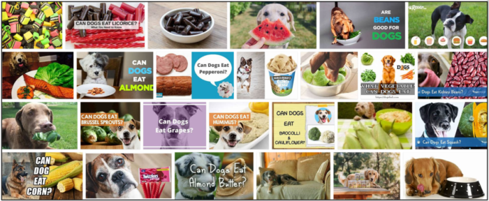 Is Licorice Safe for Dogs? Expert Advice for a Healthy Diet