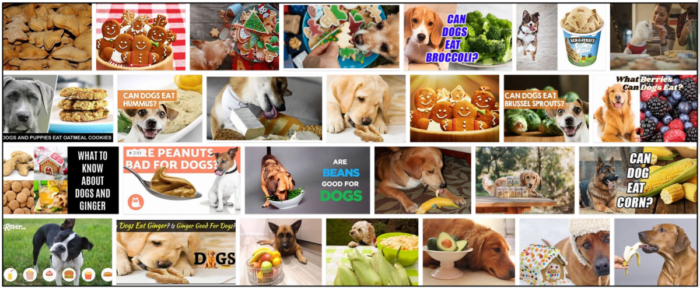 Is Gingerbread Safe for Dogs? A Guide to Feeding Your Furry Friend