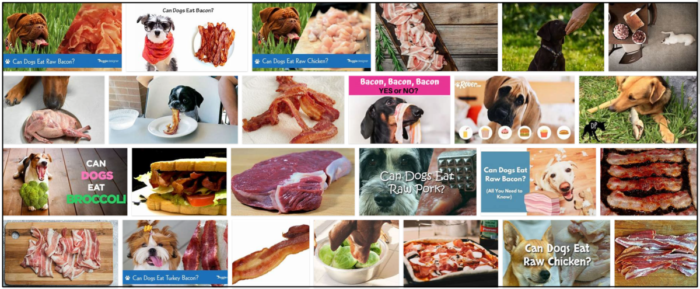 Raw Bacon for Dogs: Is It Safe or Risky?