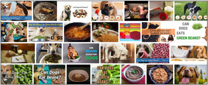 Are Refried Beans Safe for Dogs? A Comprehensive Nutrition Guide