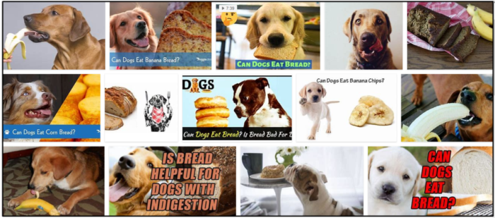 Is Banana Bread Safe for Dogs? A Guide to Healthy Treats