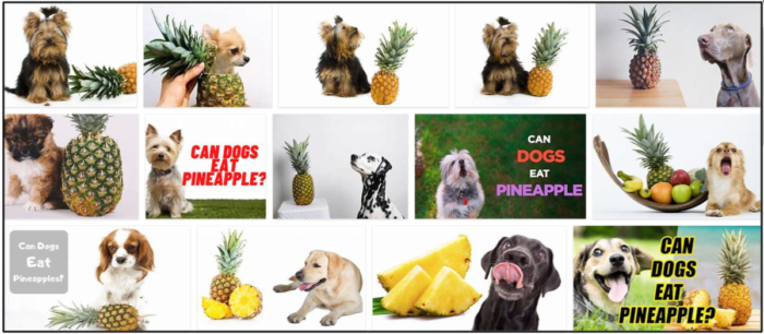 Are Pineapples Safe for Dogs? A Complete Guide to Feeding Your Furry Friend