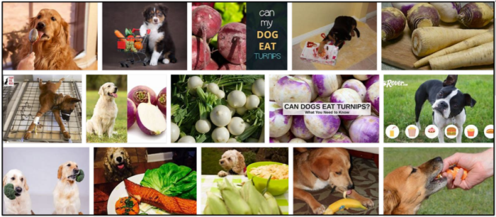 Are Turnips Safe for Dogs? Health Benefits & Risks Explained