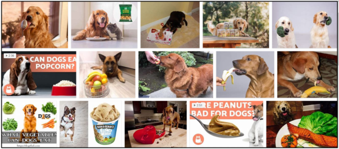 Can Dogs Safely Eat Cornbread? Expert Advice Inside