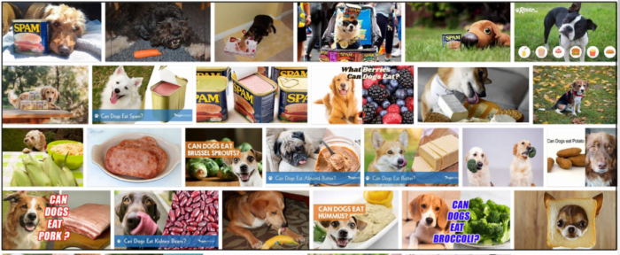 Is Spam Safe for Dogs? A Guide to Healthy Pet Nutrition