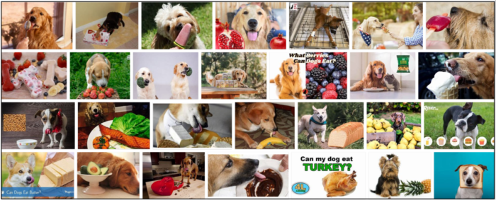 Are Popsicles Safe for Dogs? Key Insights & Guidelines