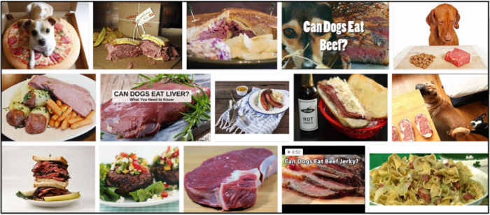 Can Dogs Safely Consume Corned Beef? Key Dietary Tips for Your Pet