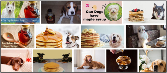 Is Maple Syrup Safe for Dogs? Vet Insights on Benefits and Risks
