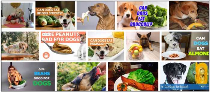 Is Wasabi Safe for Dogs? A Complete Guide to Healthy Feeding