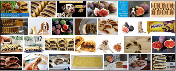 Can Dogs Eat Fig Newtons? Learn the Safe Feeding Guide