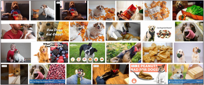 Are Doritos Safe for Dogs? Expert Guidance on Treat Choices