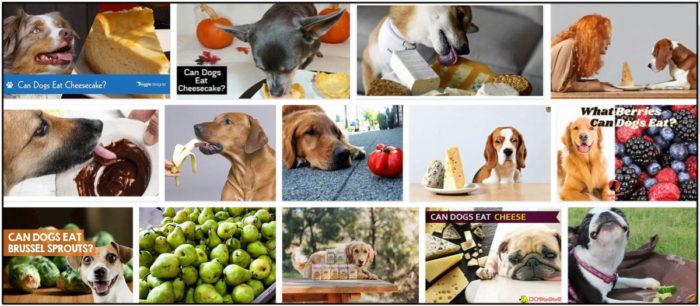 Can Dogs Safely Eat Cheesecake? What You Need to Know
