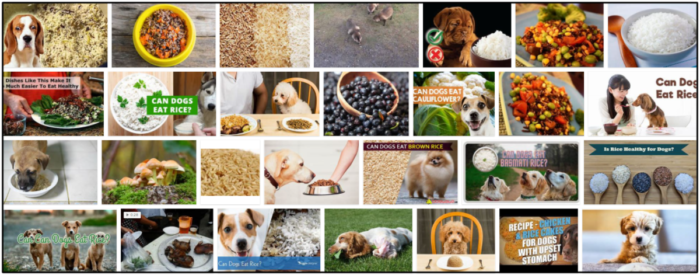 Can Dogs Safely Consume Wild Rice? Expert Guidance Inside