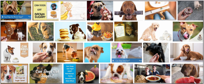 Is Brown Sugar Safe for Dogs? What You Need to Know Before Feeding