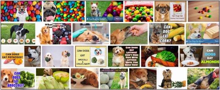 Can Dogs Safely Eat Skittles? Expert Guide & Health Tips