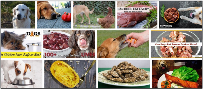 Can Dogs Safely Eat Liver? Essential Guidelines for Pet Owners