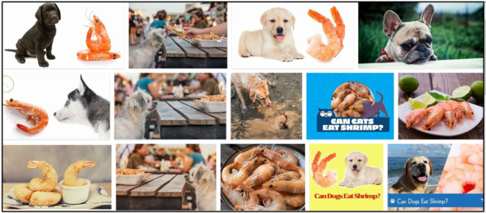 Can Dogs Safely Eat Cooked Shrimp? Expert Tips for Pet Owners