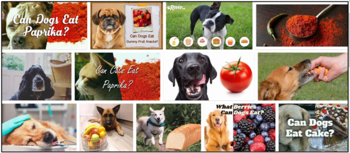 Is Paprika Safe for Dogs? Find Out If Your Dog Can Eat This Spice