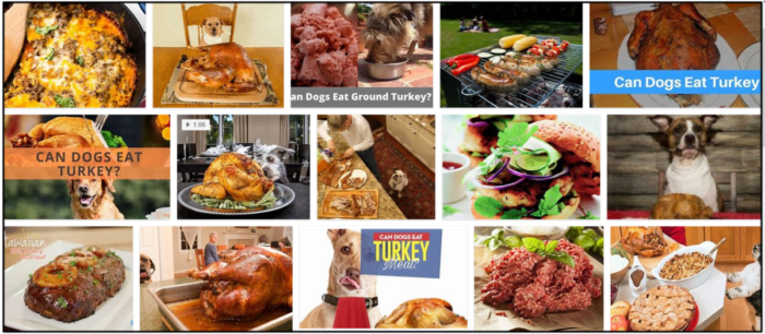 Is Ground Turkey Safe for Dogs? A Complete Nutrition Guide