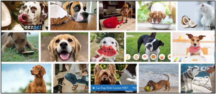 Is Coconut Milk Safe for Dogs? Expert Tips for Feeding Your Furry Friend