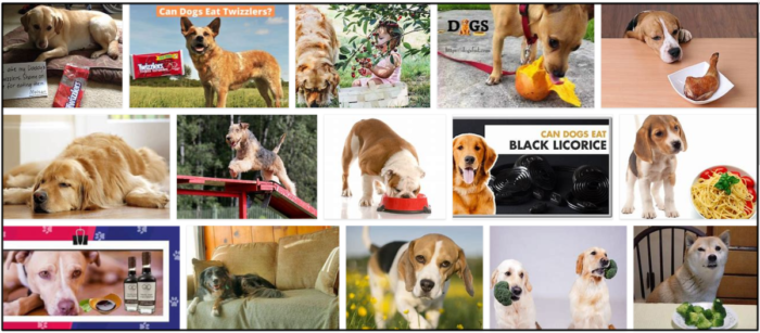 Are Twizzlers Safe for Dogs? Vet-Approved Insights