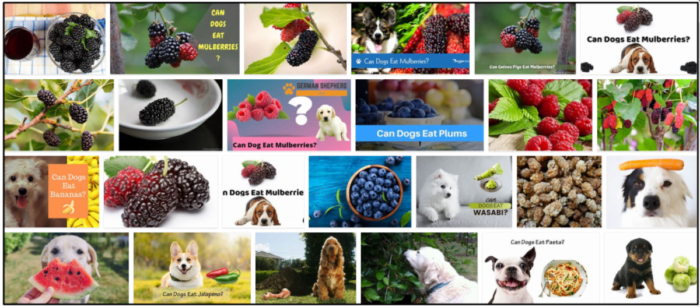 Are Mulberries Safe for Dogs? A Guide to Feeding Them Safely