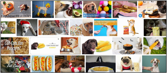 Can Dogs Safely Eat Candy Corn? Expert Tips for a Healthy Diet