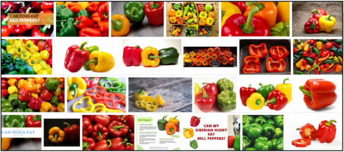 Are Red Bell Peppers Safe for Dogs? A Pet Owner’s Guide