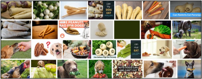 Are Parsnips Safe for Dogs? Expert Guidance on Feeding Table Scraps