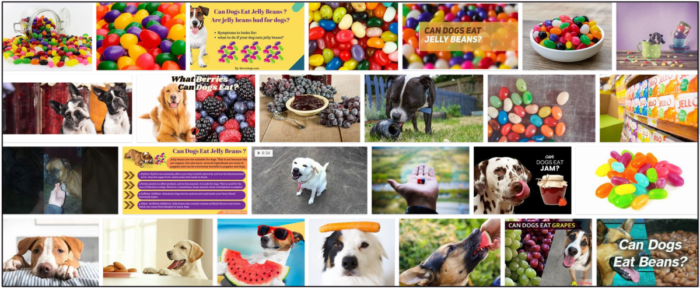 Can Dogs Safely Consume Jelly? Key Guidelines Every Owner Should Follow