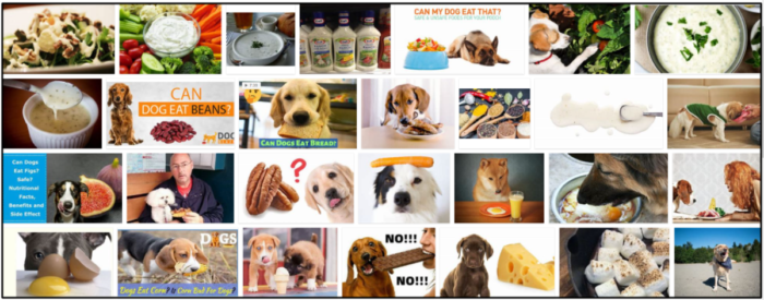 Is Ranch Dressing Safe for Dogs? Expert Tips for Feeding Your Pet