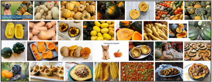 Is Acorn Squash Safe for Dogs? A Guide to Safely Including This Nutritious Treat