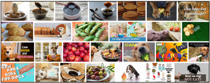 Can Dogs Safely Consume Molasses? Health Guide & Tips