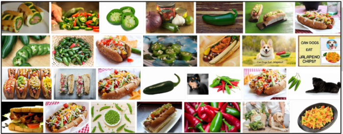 Can Dogs Safely Eat Jalapeños? Expert Advice & Precautions