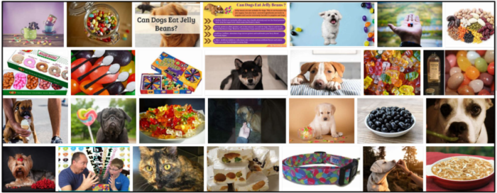 Are Jelly Beans Safe for Dogs? A Comprehensive Guide to Healthy Treats