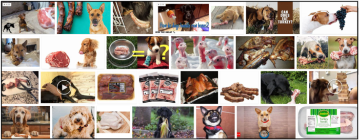 Are Turkey Necks Safe for Dogs? A Trusted Guide to Feeding Your Furry Friend Safely