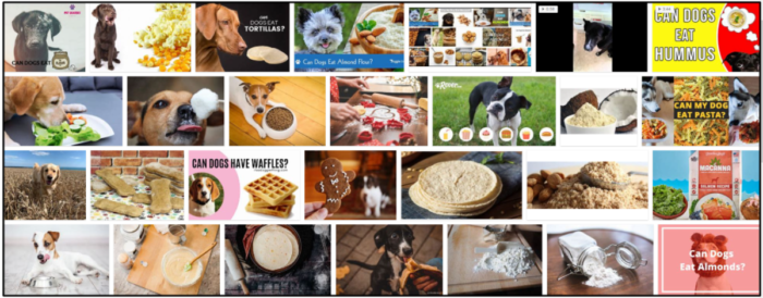 Is Flour Safe for Dogs? Expert Guidance on Feeding Choices