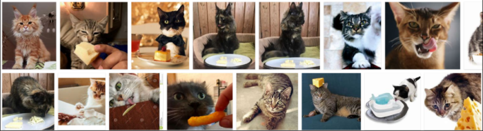 Is Cheese Safe for Cats? A Comprehensive Guide to Feeding Your Feline