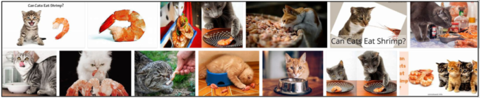 Can Cats Safely Eat Shrimp? A Guide to Treating Your Feline Friend