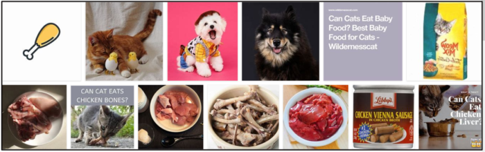 Is Raw Chicken Safe for Cats? Expert Guide on Feeding Your Feline