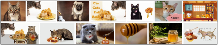 Is Honey Safe for Cats? Expert Insights & Feeding Guidelines