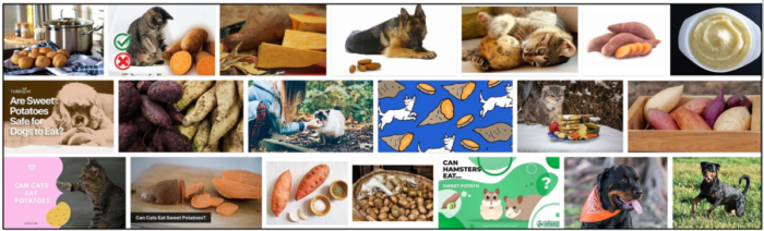 Are Sweet Potatoes Safe for Cats? Understanding Weight and Nutrition