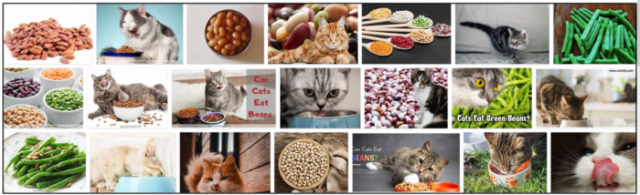 Are Beans Safe for Cats? A Guide to Feeding Beans to Your Feline Friend