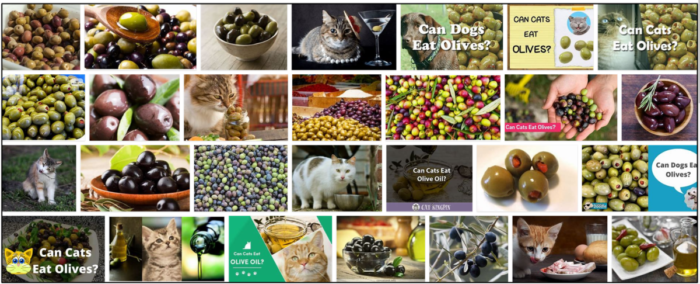 Are Olives Safe and Nutritious for Cats? What You Need to Know